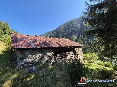 Rustico/Casale in vendita a Corteno Golgi - foto 3