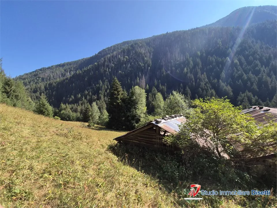 Rustico/Casale in vendita a Corteno Golgi - foto 5