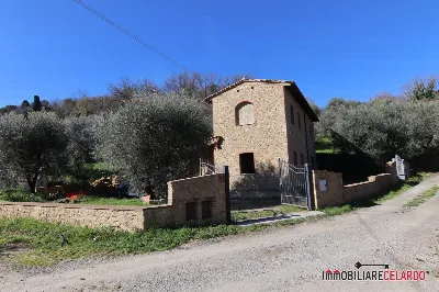 Rustico/Casale in vendita a Volterra - foto 5