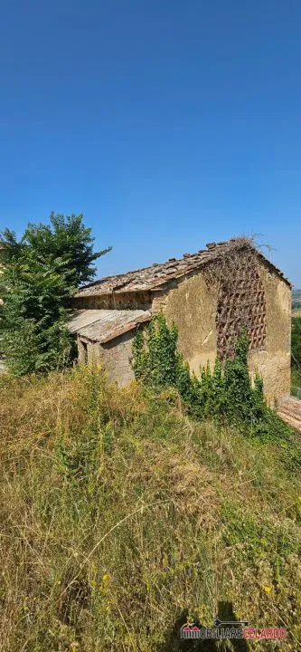 Rustico/Casale in vendita a Poggibonsi - foto 3