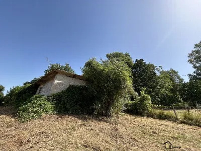 Villa in vendita a Poggio Catino - foto 3