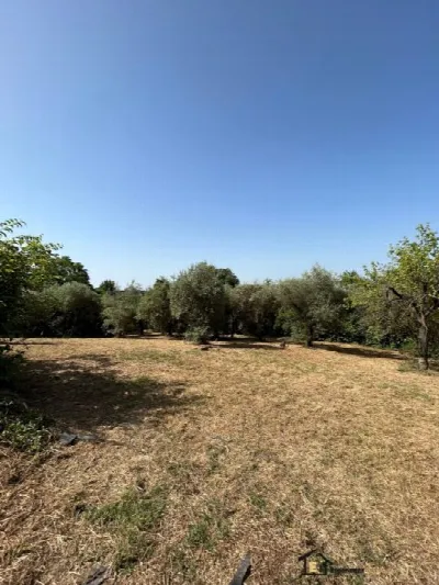 Villa in vendita a Poggio Catino - foto 5