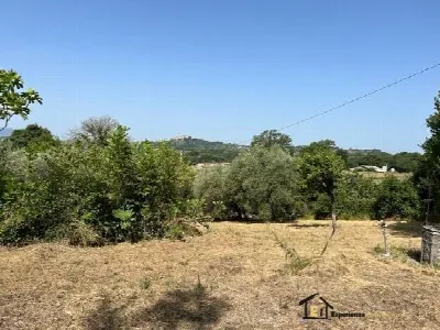 Villa in vendita a Poggio Catino - foto 7
