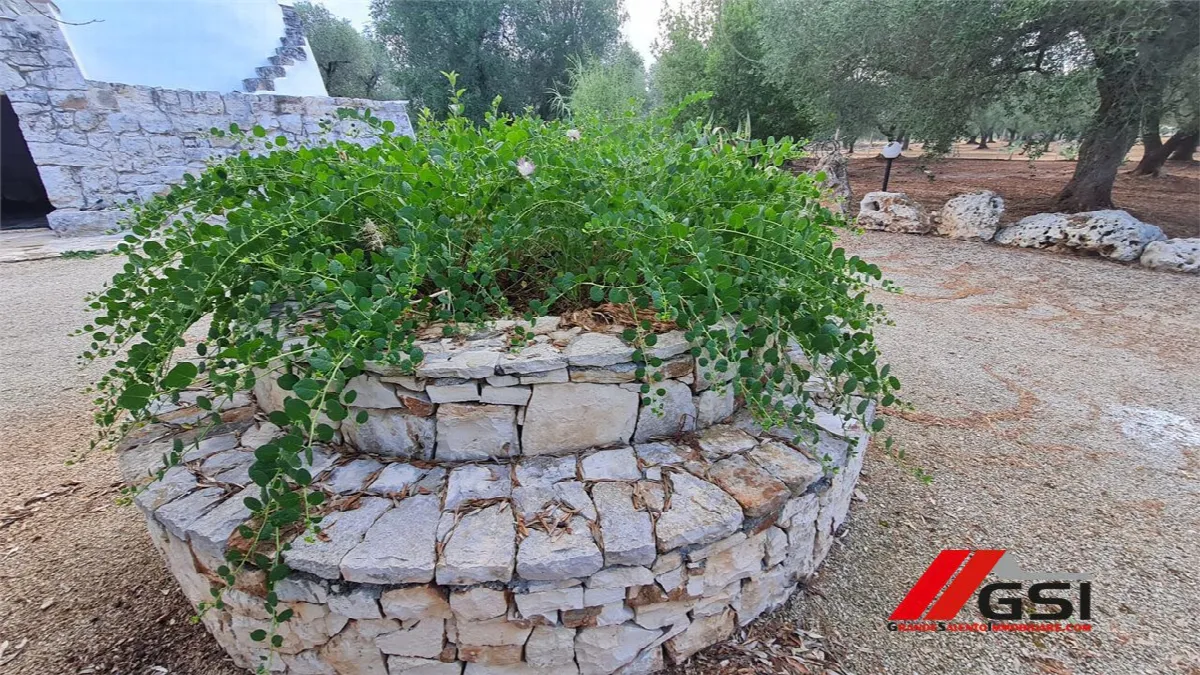 Rustico/Casale in vendita a Francavilla Fontana - foto 4