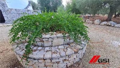 Rustico/Casale in vendita a Francavilla Fo... - foto 4