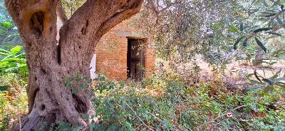 Rustico/Casale a Messina