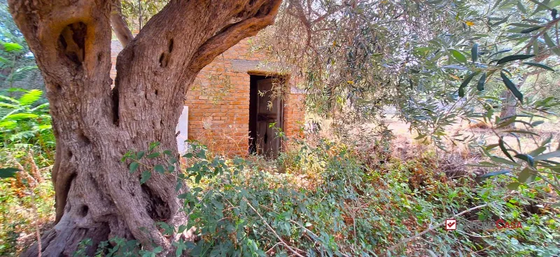 Rustico/Casale in vendita a Messina, Castanea, Masse, Gesso - foto 1