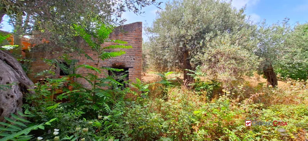 Rustico/Casale in vendita a Messina, Castanea, Masse, Gesso - foto 2
