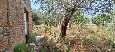 Rustico/Casale in vendita a Messina, Casta... - foto 4