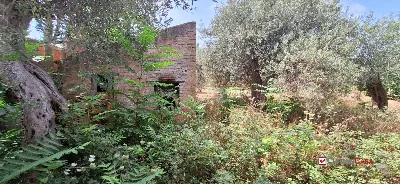 Rustico/Casale in vendita a Messina, Casta... - foto 9