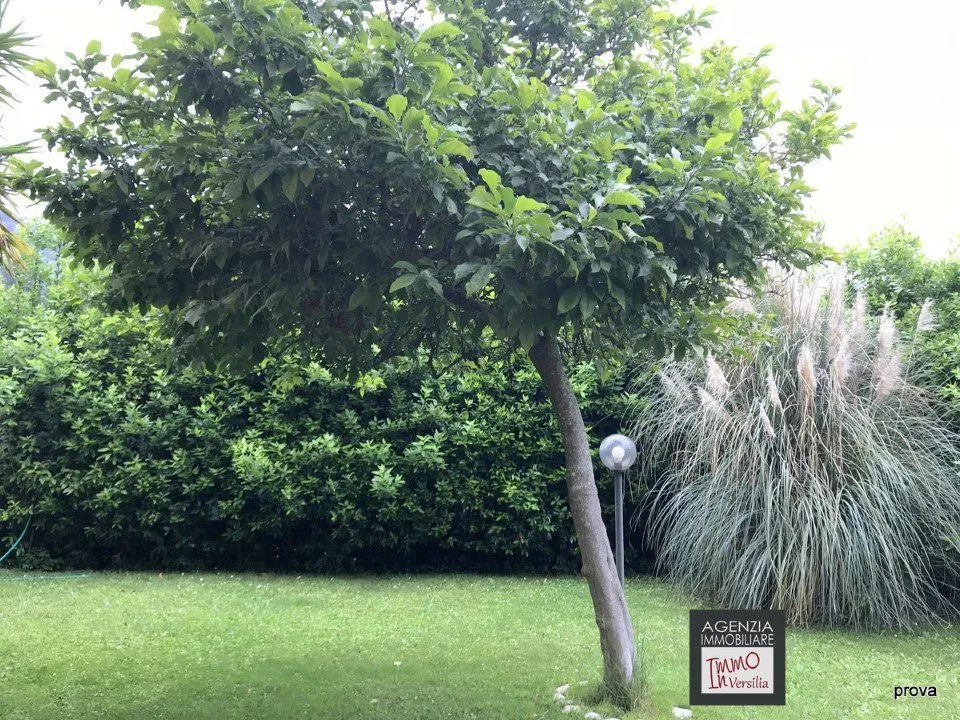 Villa in vendita a Massarosa - foto 2