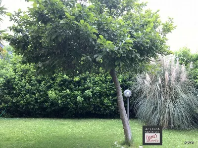 Villa in vendita a Massarosa - foto 2
