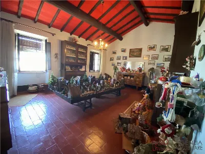 Rustico/Casale in vendita a Massarosa - foto 10