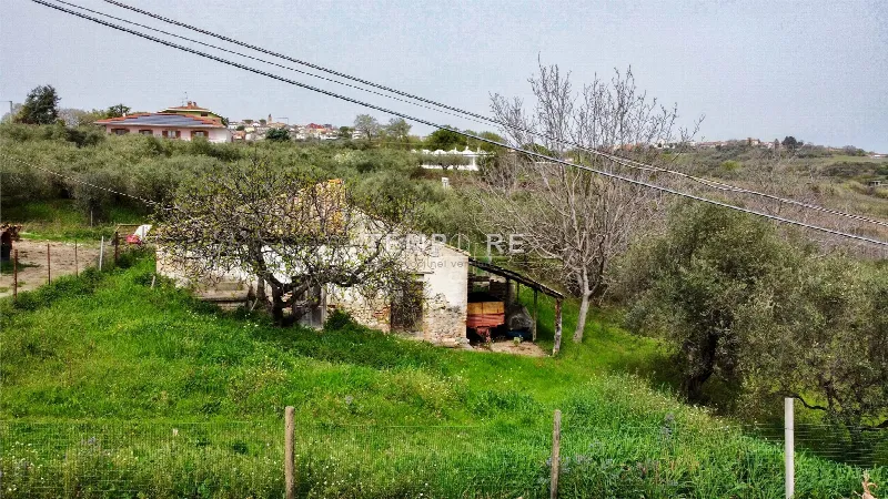 Rustico/Casale in vendita a Mozzagrogna - foto 1