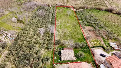 Rustico/Casale in vendita a Mozzagrogna - foto 3