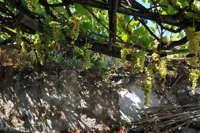 Rustico/Casale in vendita a Ponza - foto 6