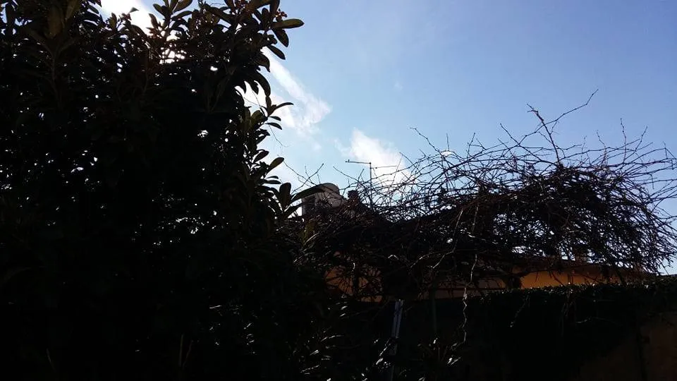 Casa Indipendente in vendita a Poggio a Caiano - foto 2