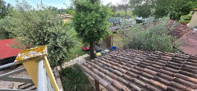 Villa in vendita a Latina, Borgo Sabotino,... - foto 9