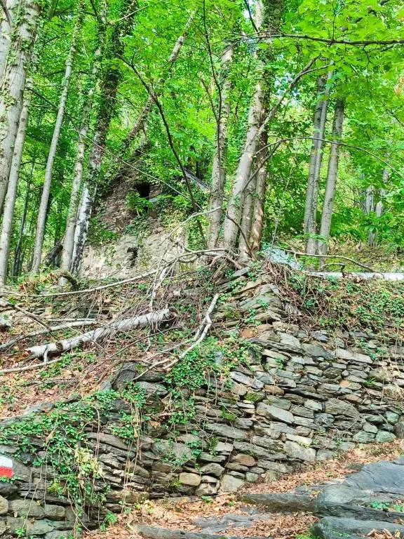 Casa Indipendente in vendita a Beura-Cardezza - foto 2