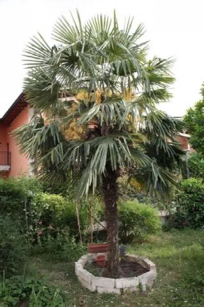Appartamento in vendita a Certosa di Pavia - foto 6