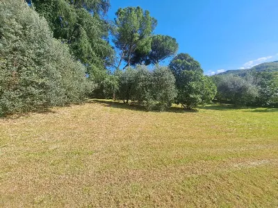 Villa in vendita a Signa - foto 8