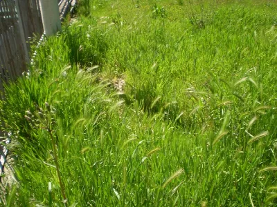 Appartamento in vendita a San Nazzaro - foto 5