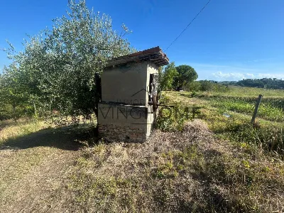 Rustico/Casale in vendita a Cesena, Saiano... - foto 10