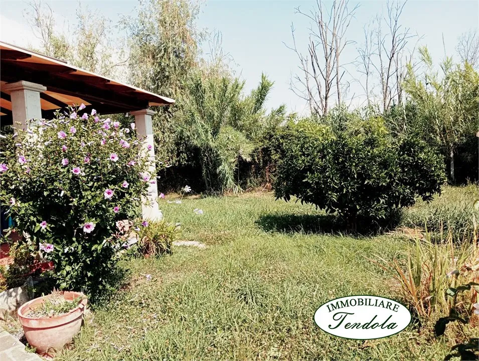 Casa Indipendente in vendita a Carrara, Fontia, Fossola, Fossone - foto 2