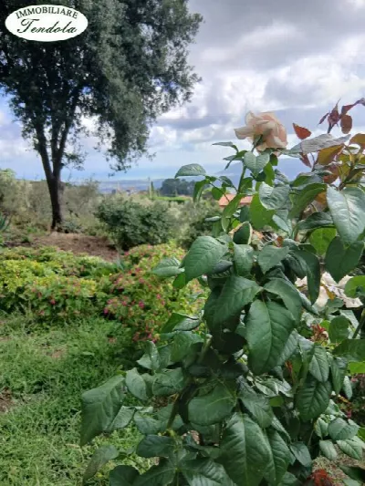 Rustico/Casale in vendita a Fosdinovo - foto 5