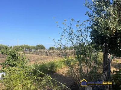 Casa Indipendente in vendita a Ispica - foto 9
