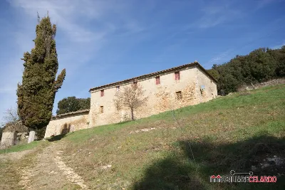 Rustico/Casale in vendita a Casole d'Elsa - foto 10