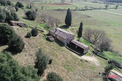 Rustico/Casale in vendita a Casole d'Elsa - foto 5