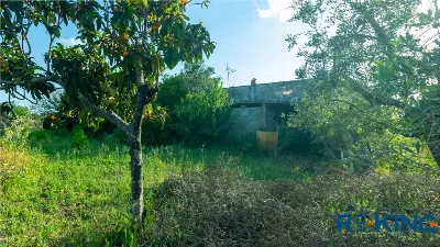 Rustico/Casale in vendita a Casarano - foto 7