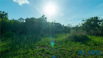 Rustico/Casale in vendita a Casarano - foto 8
