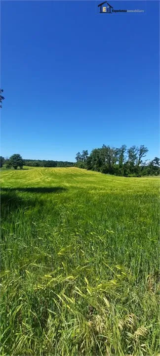 Rustico/Casale in vendita a Lubriano - foto 2