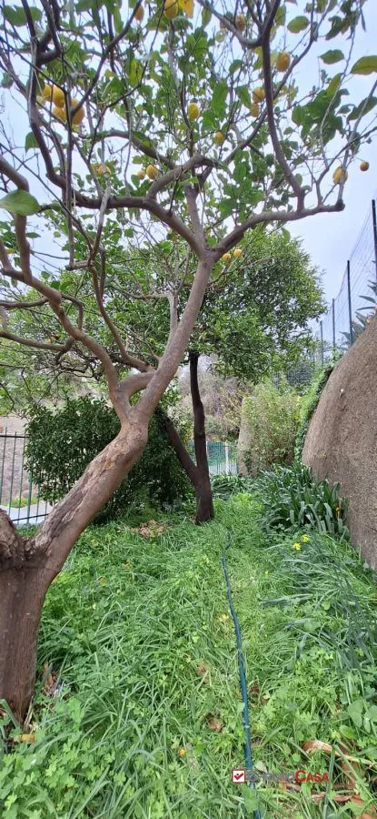 Casa Indipendente in vendita a Messina, Mortelle, Spartà, San Saba - foto 3