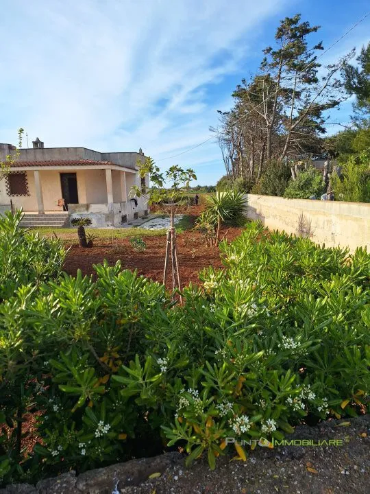 Villa in vendita a Carovigno - foto 4