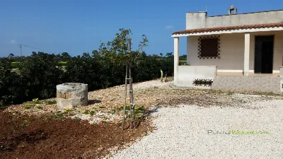 Villa in vendita a Carovigno - foto 5