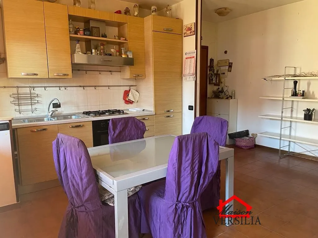 Appartamento in vendita a Massa, Centro, Turano - foto 2