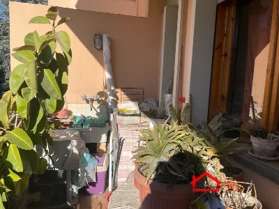 Appartamento in vendita a Massa, Centro, T... - foto 5