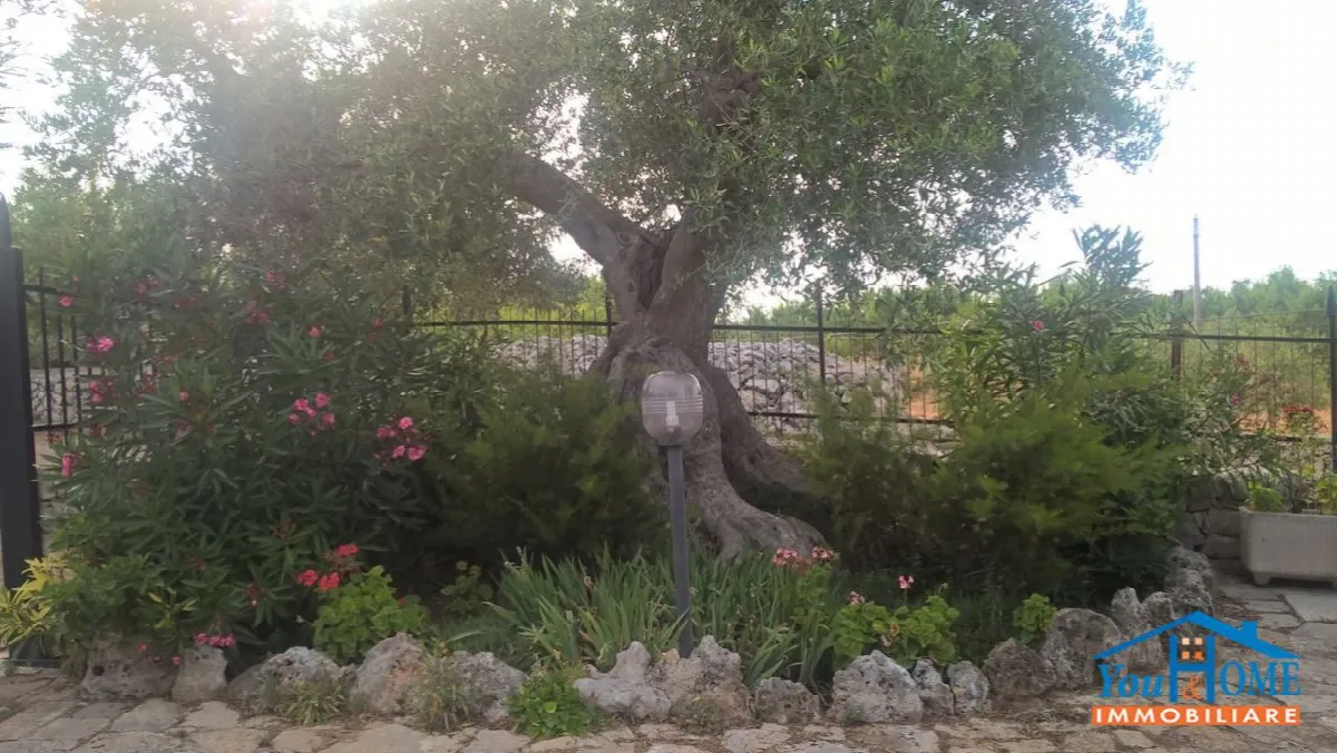 Villa in vendita a Castellana Grotte - foto 3